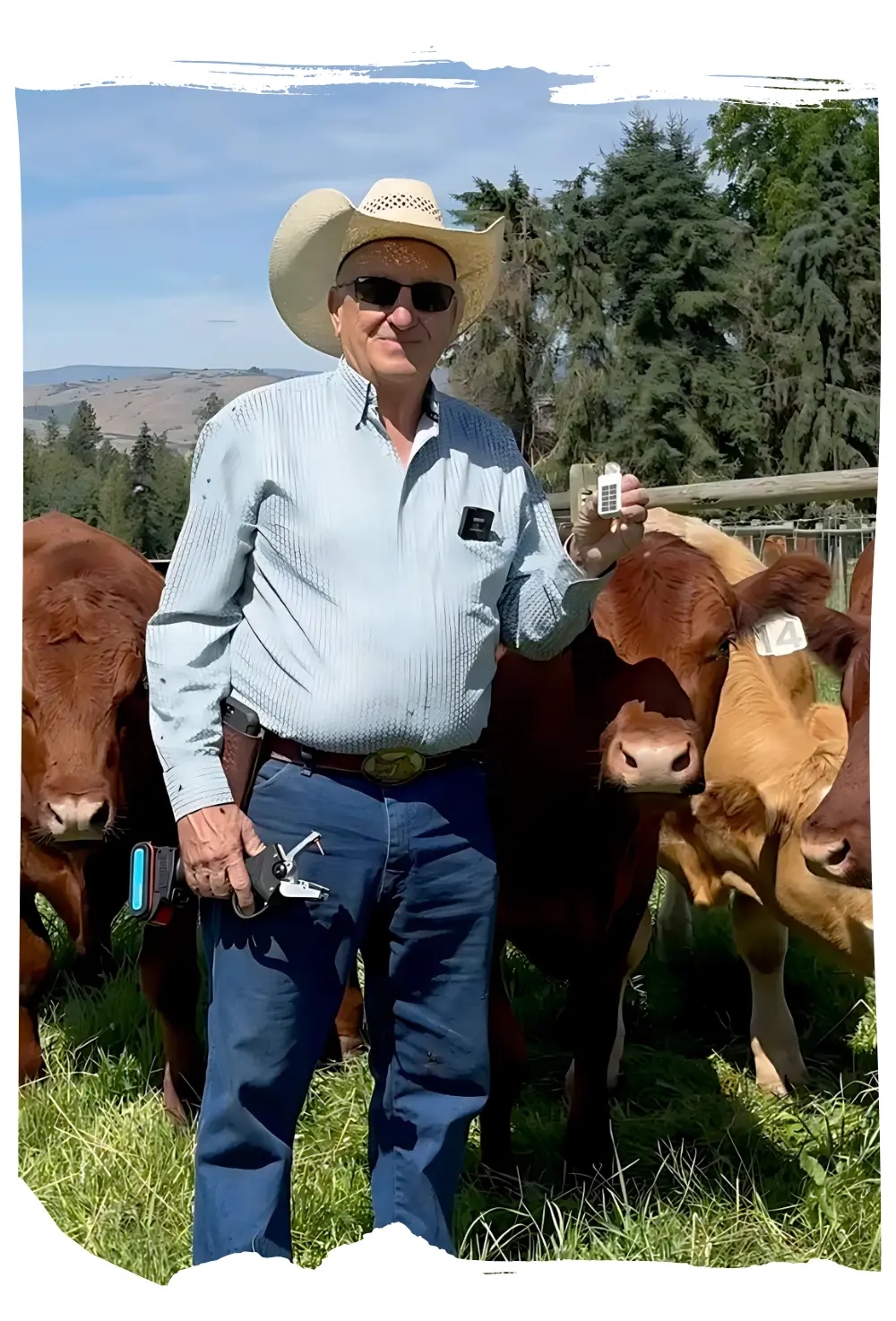 F2 Ear Tags Ear Tags