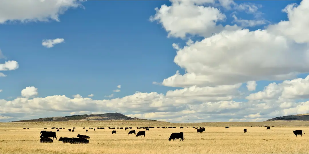 S3 Okanagan Fence Supplies