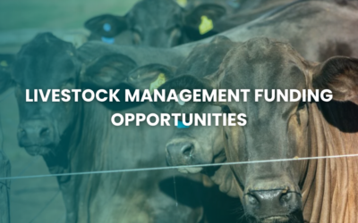 Livestock Management Funding Opportunities