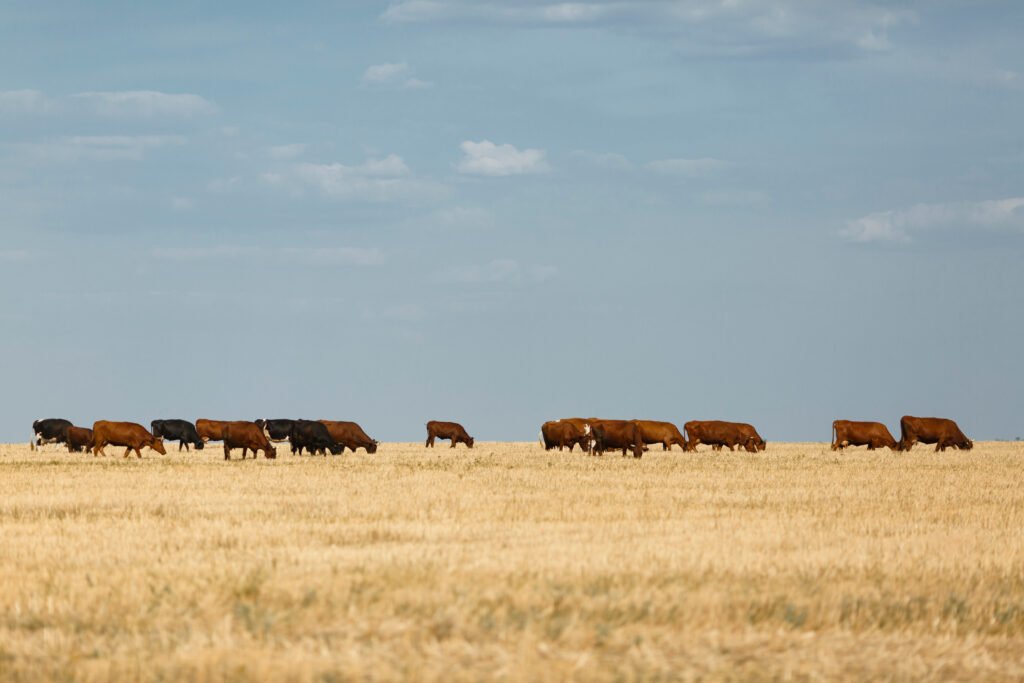 Okanagan-ranch-and-fence-supplies-canada