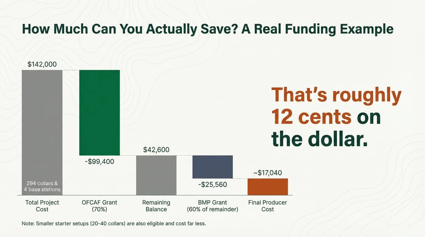 How Much Can You Actually Save? A Real Funding Example