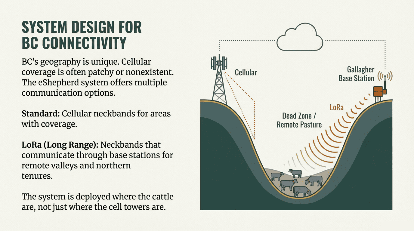Why System Design Matters in BC Specifically