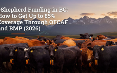 eShepherd Funding in BC: How to Get Up to 85% Coverage Through OFCAF and BMP (2026)