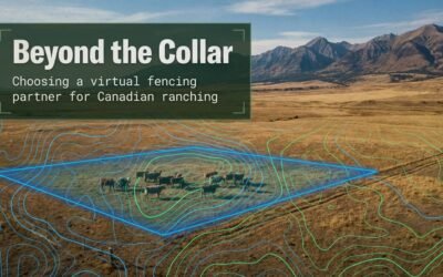 3 Things to Look for When Choosing a Virtual Fencing Partner