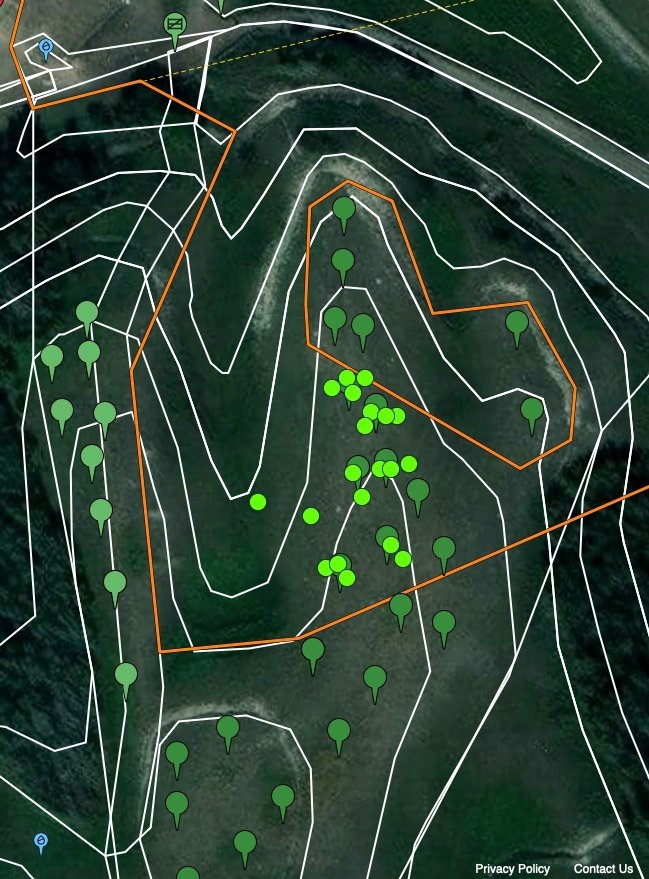 image from eShepherd website showing the eShepherd app to rotate cattle to the next bale without moving physical fence