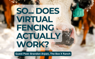 Virtual Fencing Results from the Field: One Rancher’s Honest Account