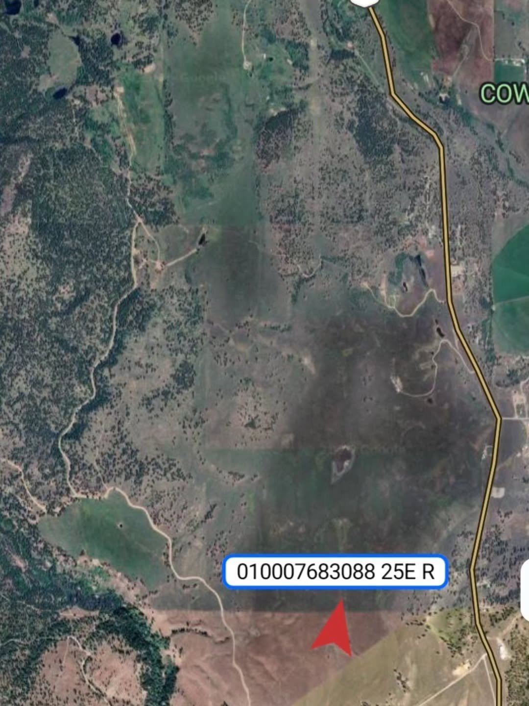 Last year, we tested a few GSatRancher GPS ear tags to track the movement of our cows. The data (3) Last year we tested a few GSatRancher GPS ear tags to track the movement of our cows. The data 3
