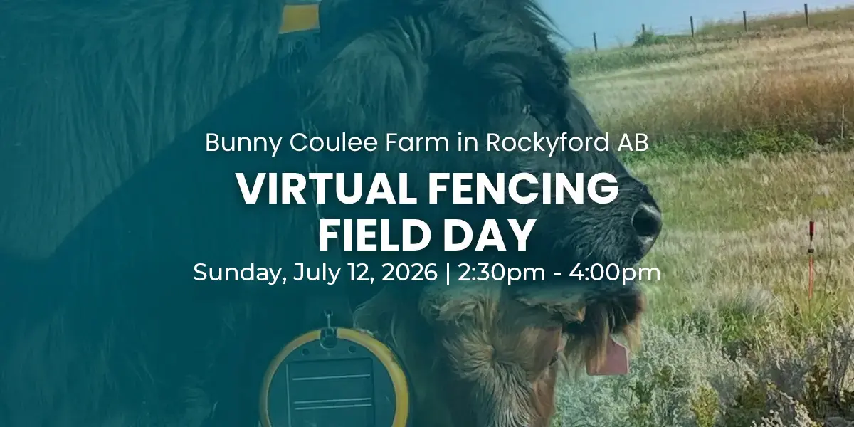 virtual-fencing-field-day-at-bunny-coulee-farm-rockyford-ab(1) virtual-fencing-field-day-at-bunny-coulee-farm-rockyford-ab