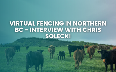 Virtual Fencing in Northern BC – Interview with Chris Solecki