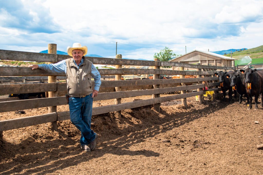 A smiling rancher in a cowboy hat and tan vest leaning against a wooden corral fence, with black cattle wearing orange eShepherd neckbands standing nearby in a dirt pen.