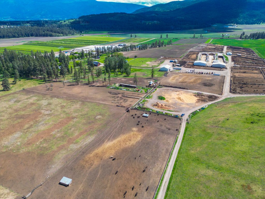 facilities nestled in a valley with pine trees and blue mountains in the background.